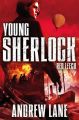 Young Sherlock Holmes 2: Red Leech: Book by Andrew Lane