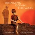 Bringing Down the Wall: Book by David P Reiter