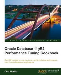Oracle Database 11g R2 Performance Tuning Cookbook: Book by Ciro Fiorillo