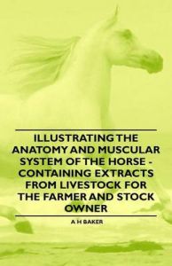 Illustrating the Anatomy and Muscular System of the Horse - Containing Extracts from Livestock for the Farmer and Stock Owner: Book by A H Baker Illustrating the Anatomy and Muscular System of the Horse - Containing Extracts from Livestock for the Farmer and Stock Owner: Book by A H Baker