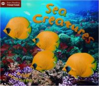 Sea Creatures (Start Reading) (English) (Paperback): Book by Anne Faundez