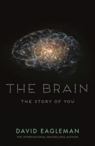 The Brain (English) (Paperback): Book by David Eagleman The Brain (English) (Paperback): Book by David Eagleman