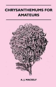 Chrysanthemums For Amateurs: Book by A. J. Macself