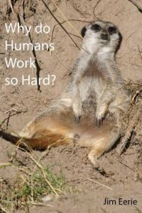 Why Do Humans Work So Hard?: Book by Jim Eerie
