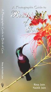 A Photographic Guide to Birds of Goa: Book by Naitik Jain, Rina Jain