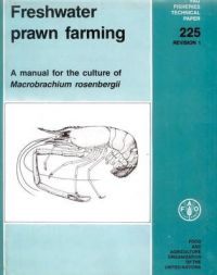 Freshwater Prawn Farming: A Manual For the Culture of Macrobrachium Rosenbergii/Fao: Book by Michael Bernard New Freshwater Prawn Farming: A Manual For the Culture of Macrobrachium Rosenbergii/Fao: Book by Michael Bernard New