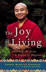 Joy Living: Book by Eric Swanson