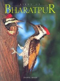 Birds of Bharatpur: Book by Rajpal Singh Birds of Bharatpur: Book by Rajpal Singh