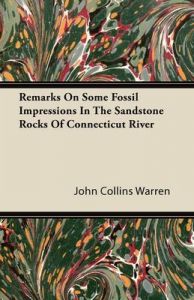 Remarks On Some Fossil Impressions In The Sandstone Rocks Of Connecticut River: Book by John Collins Warren
