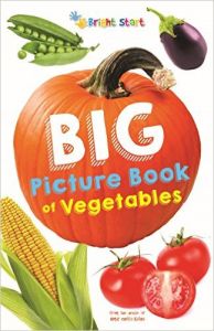 Big Picture Book Of Vegetables (English): Book by Priti Shanker