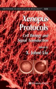 Xenopus Protocols: Cell Biology and Signal Transduction (English) 1st Edition (Hardcover): Book by X Johne Lio Xenopus Protocols: Cell Biology and Signal Transduction (English) 1st Edition (Hardcover): Book by X Johne Lio