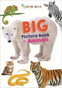 Big Picture Book Of Animals (English): Book by Priti Shanker