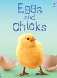Usborne Beginners: Eggs And Chicks: Book by Fiona Patchett Usborne Beginners: Eggs And Chicks: Book by Fiona Patchett