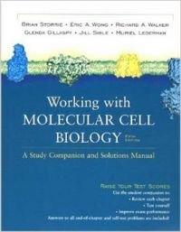 Molecular Cell Biology: Study Guide (English) First Edition (Paperback): Book by Harvey Lodish