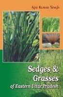 Sedges and Grasses of Eastern Uttar Pradesh in 2 Vols: Book by Ajai Kumar Singh