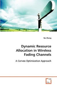 Dynamic Resource Allocation in Wireless Fading Channels: Book by Rui Zhang