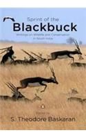 Sprint of the Blackbuck: Writings on Wildlife and Conservation in South India: Book by Theodore S. Bhaskaran Sprint of the Blackbuck: Writings on Wildlife and Conservation in South India: Book by Theodore S. Bhaskaran