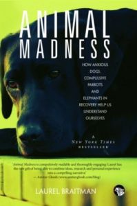 Animal Madness : How Anxious Dogs, Compulsive Parrots and Elephants in Recovery Help Us Understand Ourselves (English) (Paperback): Book by Laurel Braitman Animal Madness : How Anxious Dogs, Compulsive Parrots and Elephants in Recovery Help Us Understand Ourselves (English) (Paperback): Book by Laurel Braitman