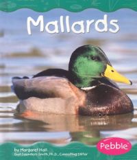 Mallards: Book by Margaret Hall Mallards: Book by Margaret Hall