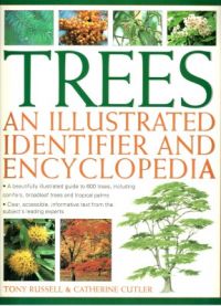 Trees An Illustrated Identifier And Encyclopedia (English) (Paperback): Book by Tony Russell, Catherine Cutler