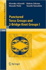 Punctured Torus Groups and 2-bridge Knot Groups: v. 1: Book by Hirotaka Akiyoshi