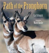 Path of the Pronghorn: Book by Cat Urbigkit Path of the Pronghorn: Book by Cat Urbigkit