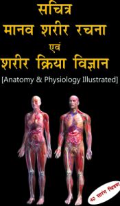 ANATOMY & PHYSIOLOGY ILLUSTRATED (HindiDI) (Paperback): Book by B. Jain