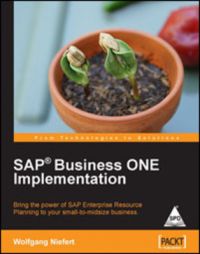 SAP Business ONE Implementation 1st Edition: Book by Wolfgang Niefert SAP Business ONE Implementation 1st Edition: Book by Wolfgang Niefert