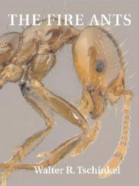 The Fire Ants: Book by Walter R. Tschinkel