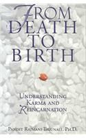 From Death to Birth: Understanding Karma and Reincarnation: Book by Pandit Rajmani Tigunait