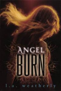 Angel Burn: Book by L A Weatherly
