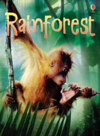 Usborne Beginners: Rainforests: Book by Catriona Clarke