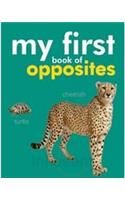 My First Book of Opposites My First Book of Opposites