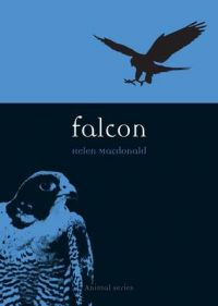 Falcon: Book by Helen Macdonald Falcon: Book by Helen Macdonald