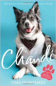 Chandi (English) (Paperback): Book by Tina Humphrey Chandi (English) (Paperback): Book by Tina Humphrey