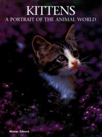 Kittens: A Portrait of the Animal World: Book by Marcus Schneck