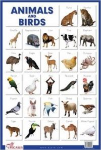 Pegasus Animals & Birds: Book by Pegasus Pegasus Animals & Birds: Book by Pegasus