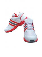 Roger Multicolor Gym And Training Shoes For Men Ranger