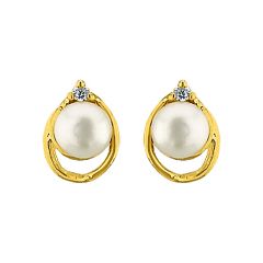 Ahaana Crazy Pearl Earrings Online Best Prices In India Sri Jagdamba Pearls Glity Pearl Earrings Code Jpjun 16 218