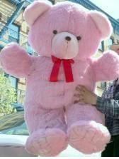 sabse bada teddy bear