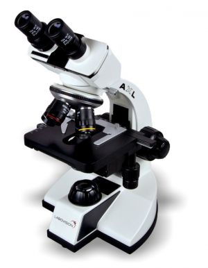 Buy Axl Binocular Compound Microscope With Halogen Illumination System online