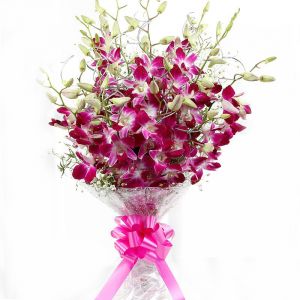 Buy Flaberry Orchids Love online