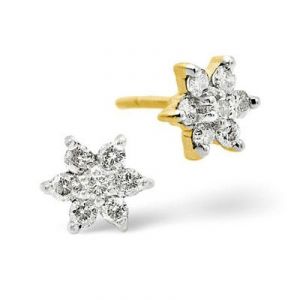 Ag Real Diamond Traditional Nakshatra Earrings Online Best Ag Real Diamond Traditional Nakshatra Earrings Online Best Prices In India Rediff Ping
