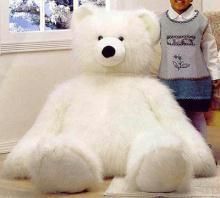 bada teddy bear
