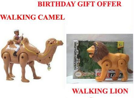 Camel Lion
