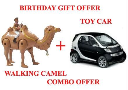 Camel In Car