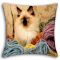 Lushomes Digital Print Pussy Cushion Covers (pack Of 5)