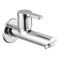 Oleanna Orange Brass Long Body Silver Taps & Faucets