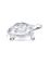 Crystal Tortois Glass Office Desk Accessory Corporate Gifting-dh012