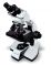 Axl Binocular Compound Microscope With Halogen Illumination System